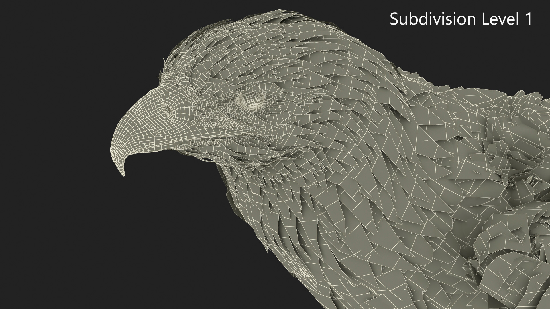 3D Imperial Eagle Standing model