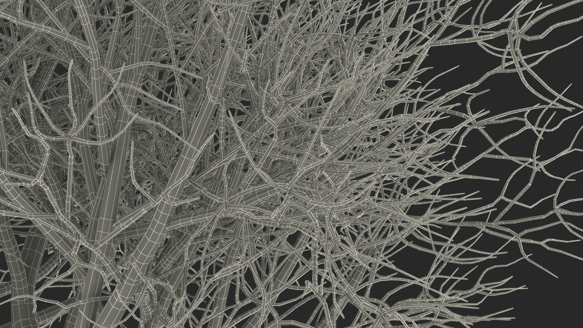Rhododendron Bark Tree 3D