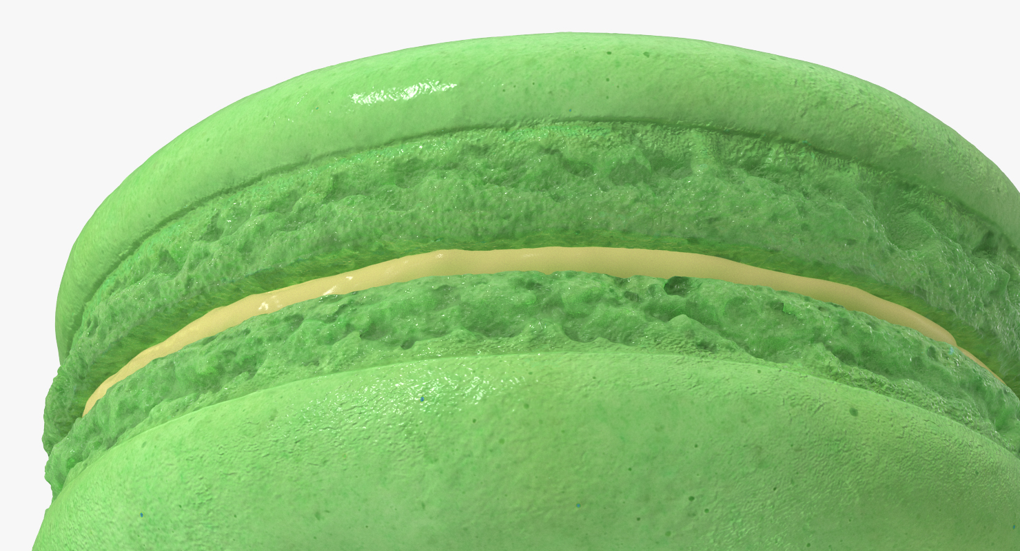 Classic French Macaron 3D