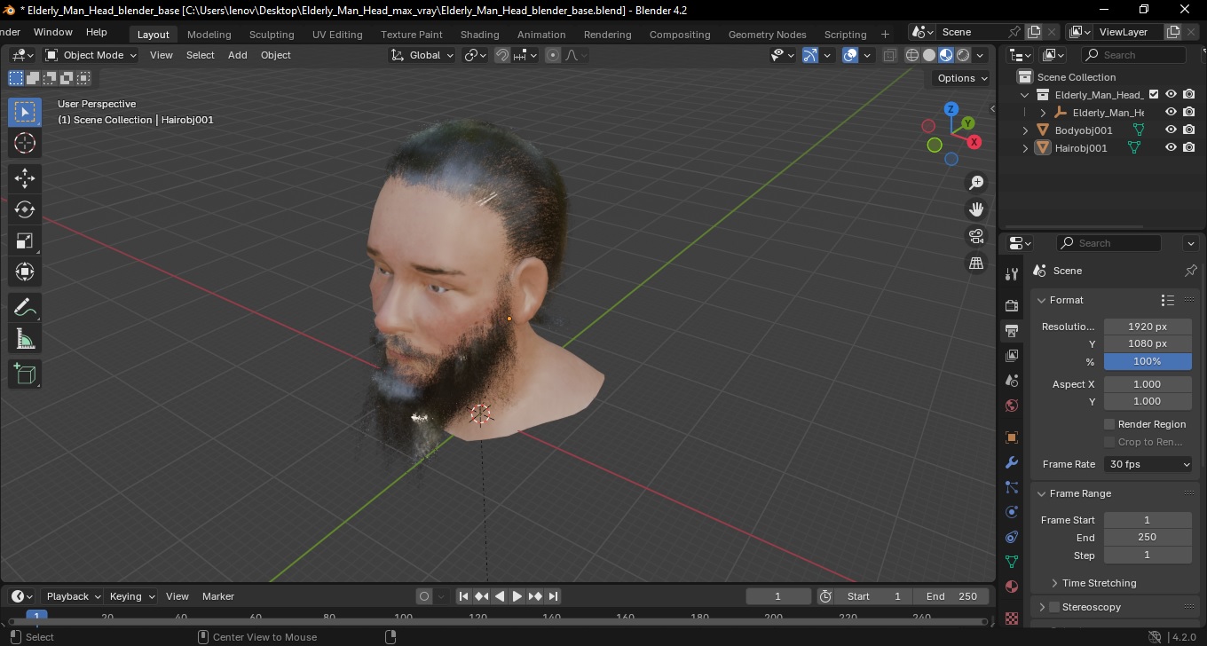 3D Elderly Man Head