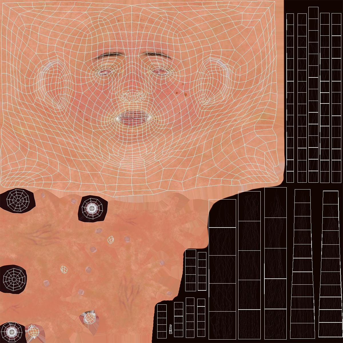 3D Elderly Man Head