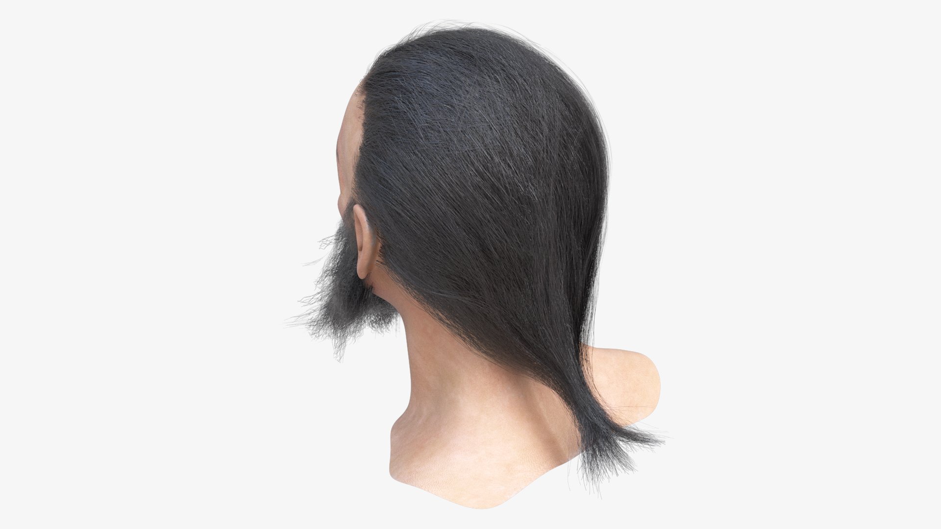 3D Elderly Man Head