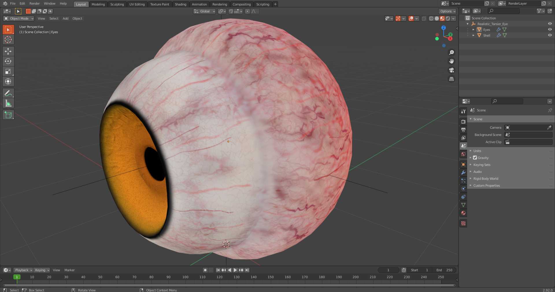 3D Realistic Tarsier Eye