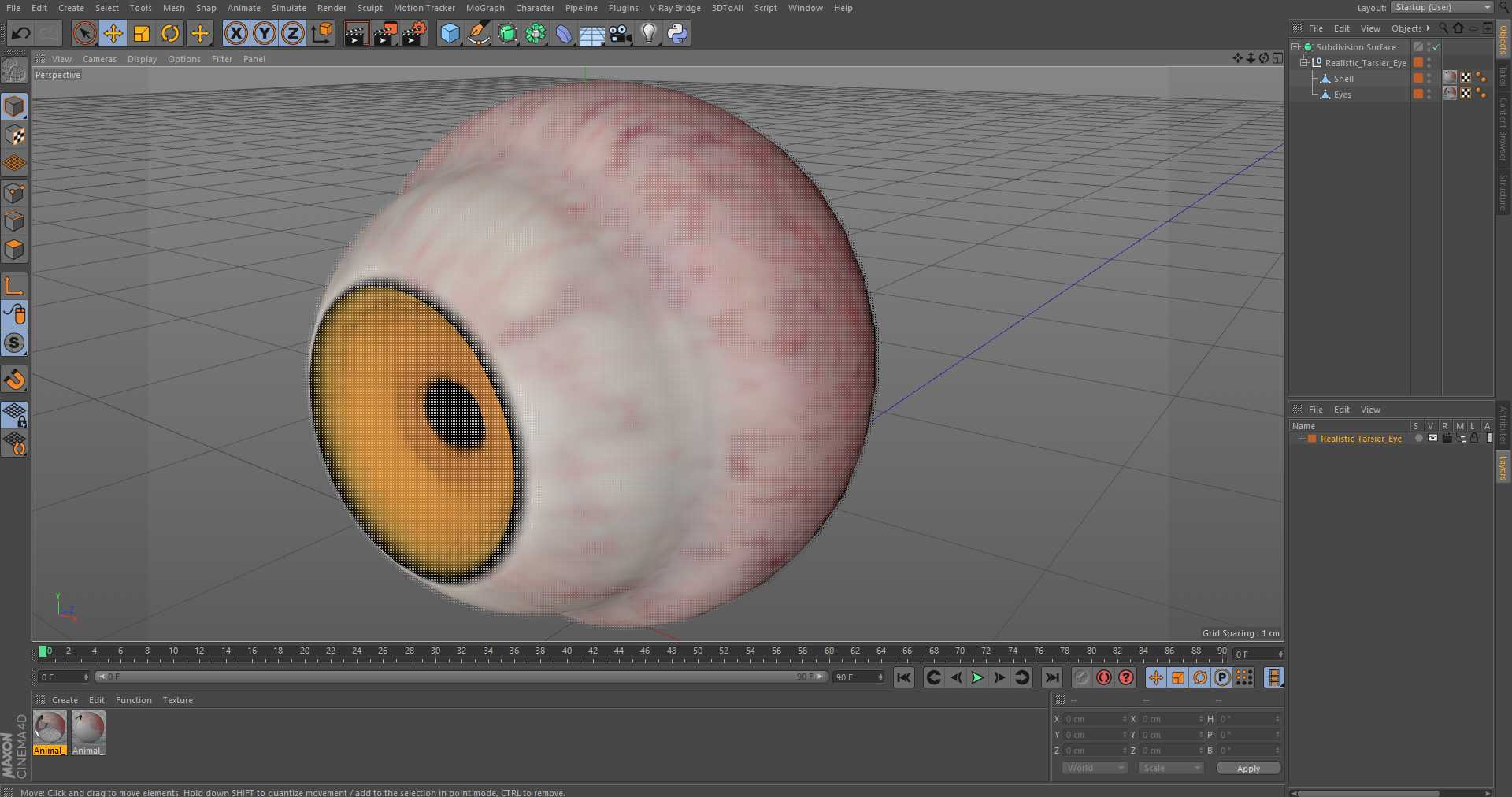 3D Realistic Tarsier Eye