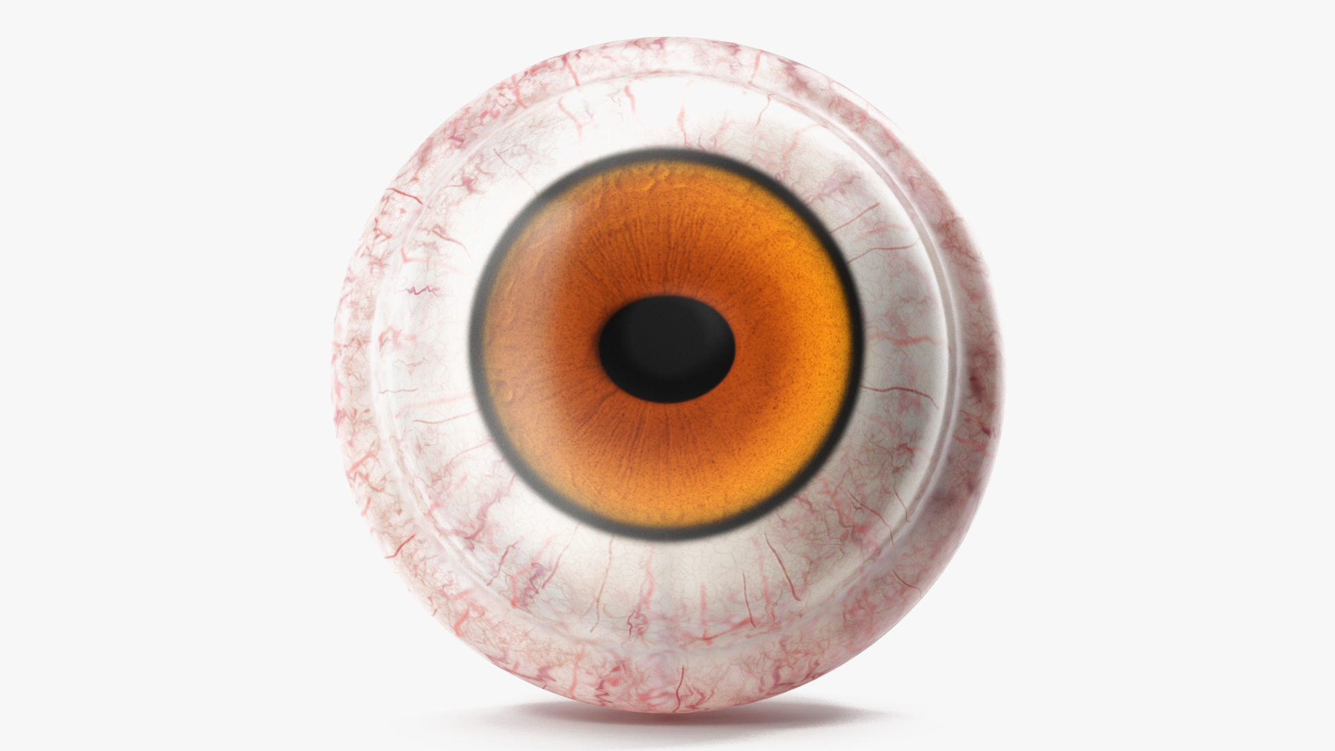 3D Realistic Tarsier Eye
