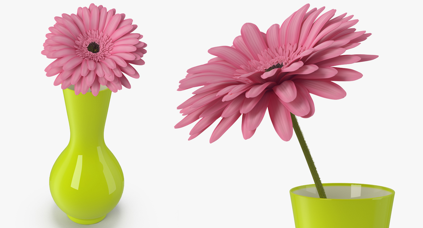 3D Pink Gerber Flower In Vase