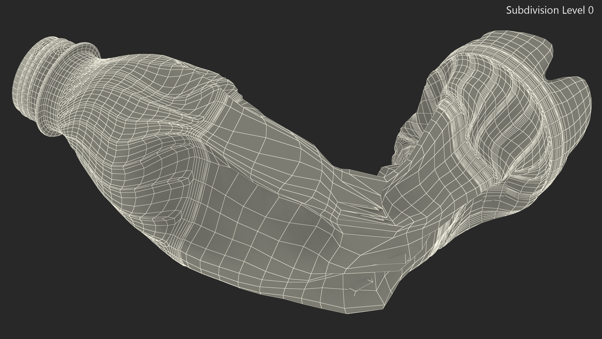 Crushed Plastic Bottle Bent 3D