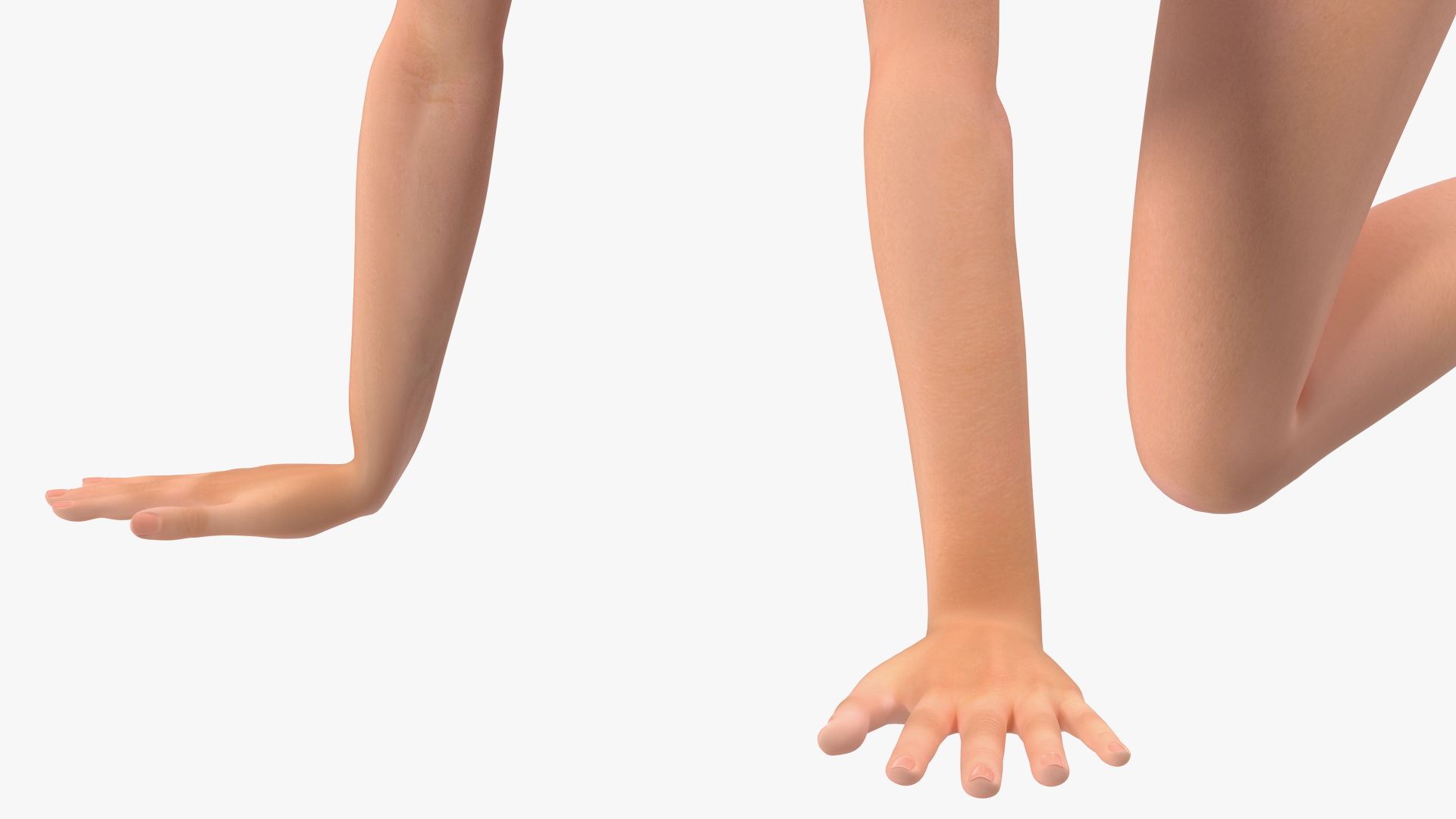 3D Cartoon Young Girl Doing Exercise model