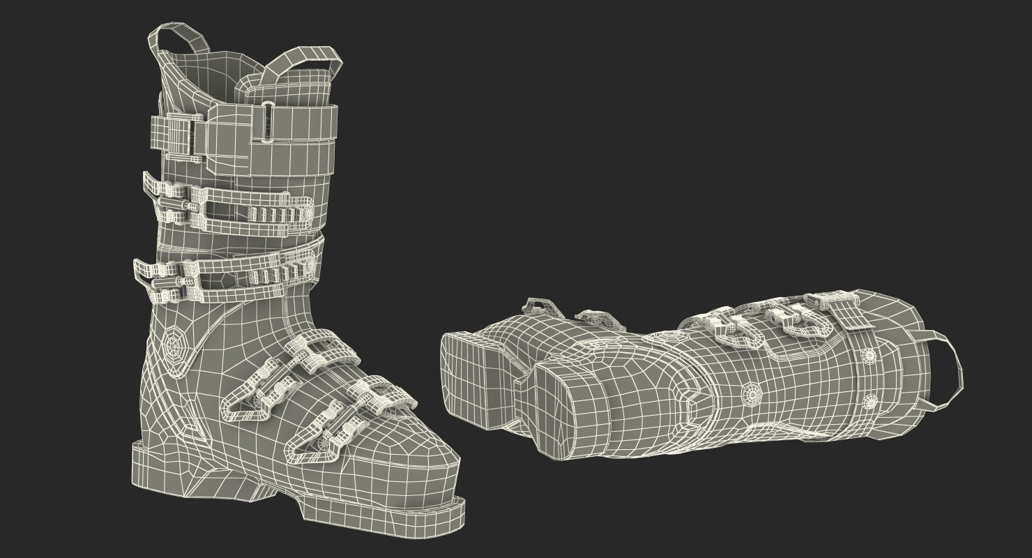 Ski Boots Generic 3D