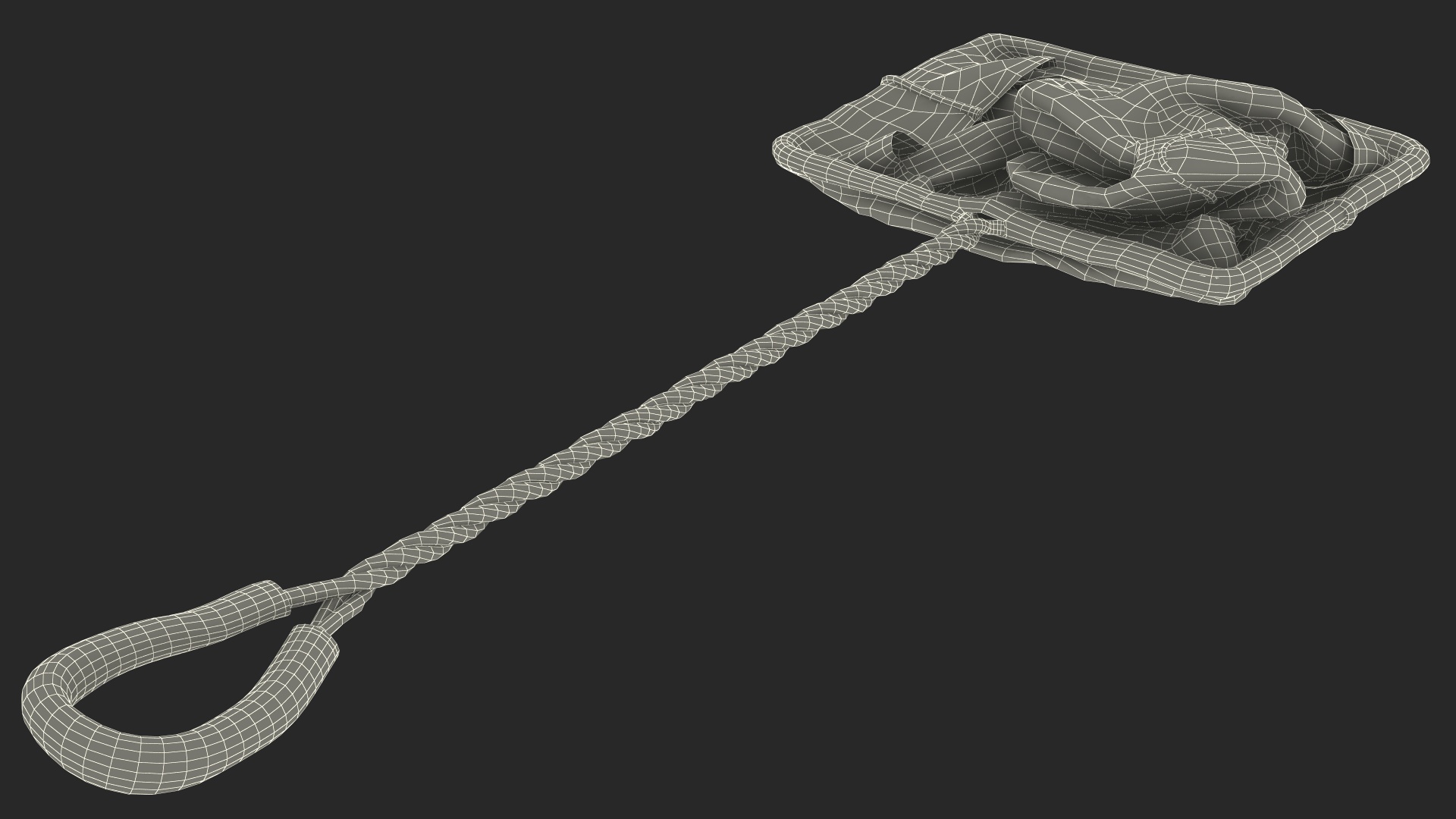 Aquarium Fish Net 3D