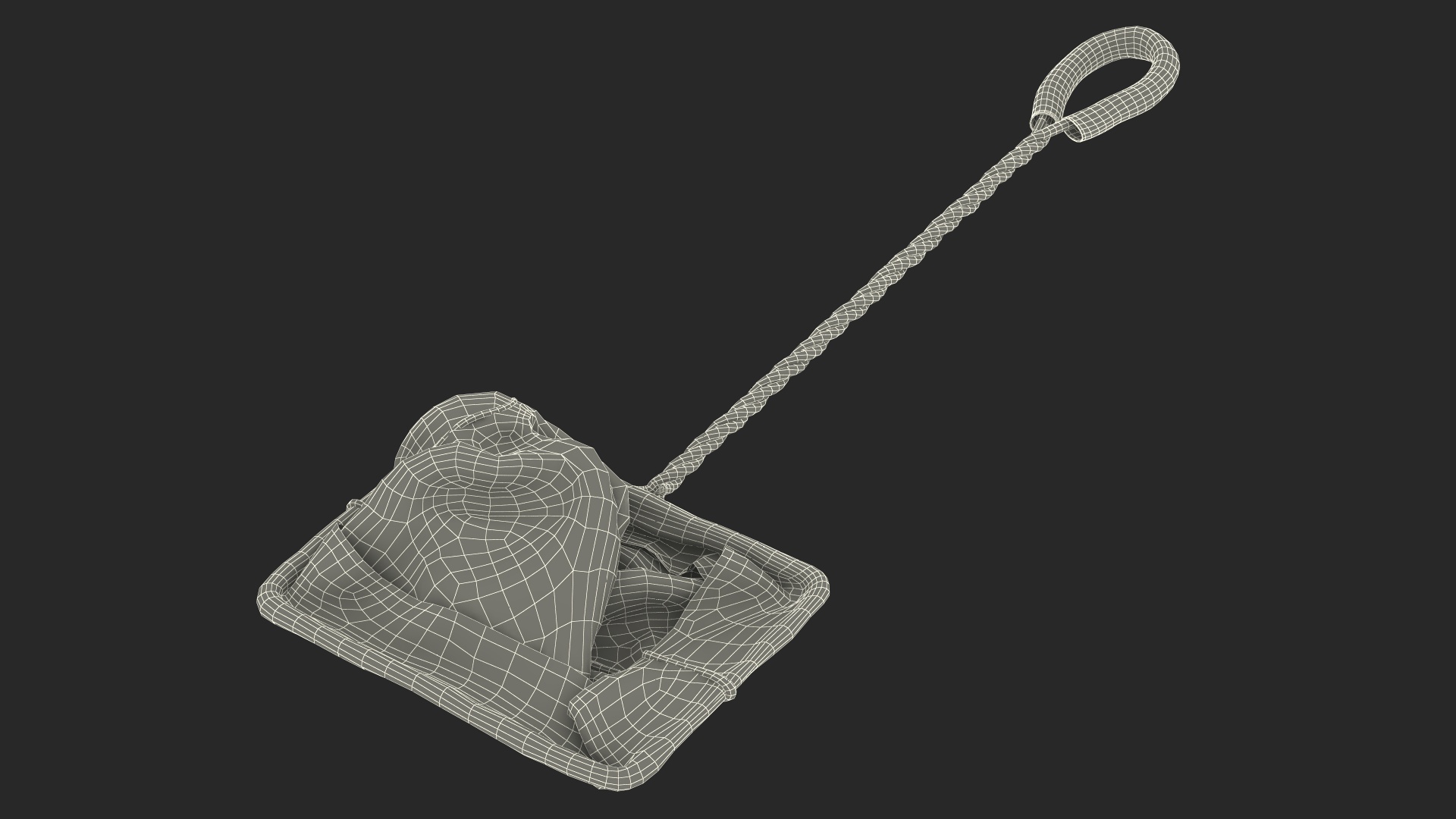 Aquarium Fish Net 3D