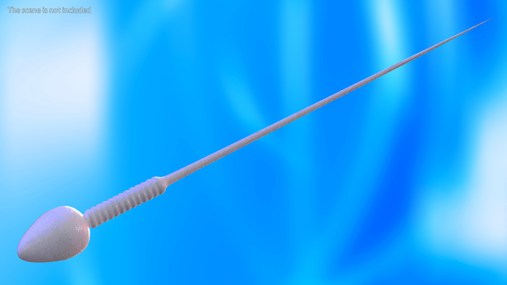 3D Human Sperm Cell