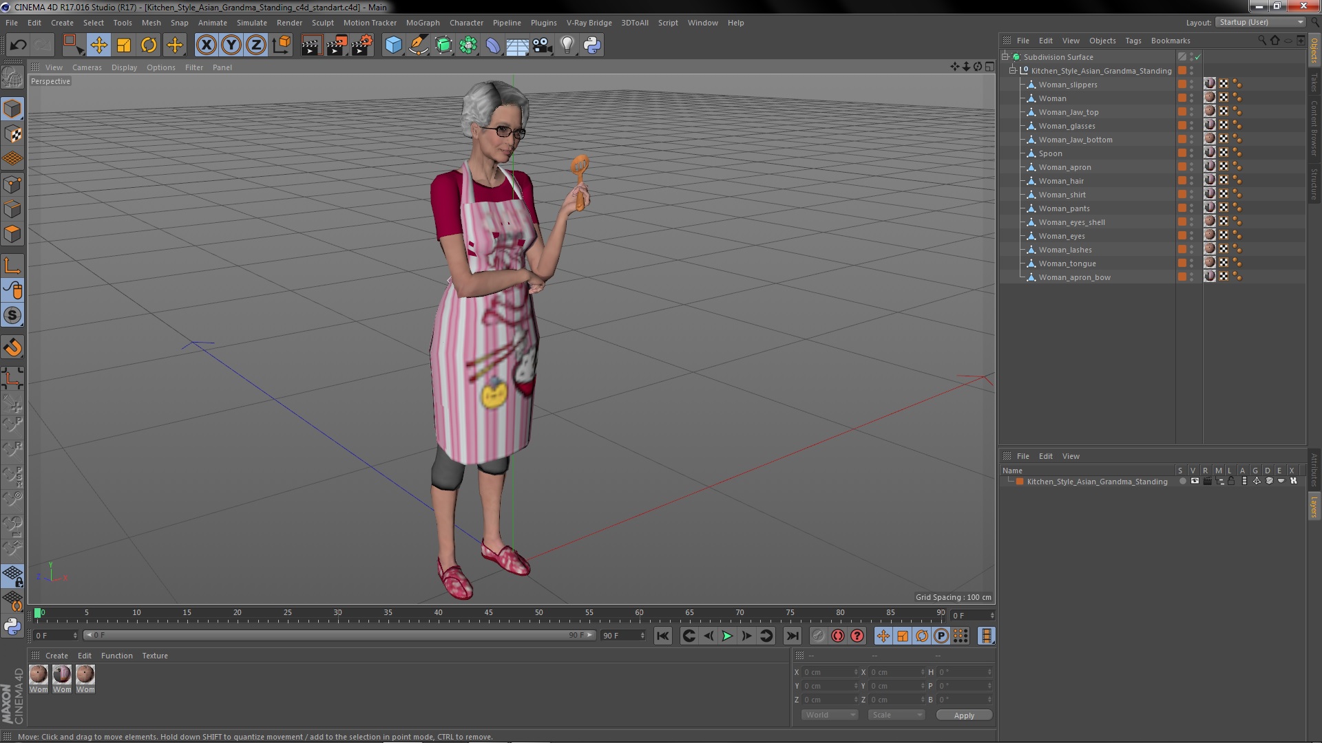 3D Kitchen Style Asian Grandma Standing