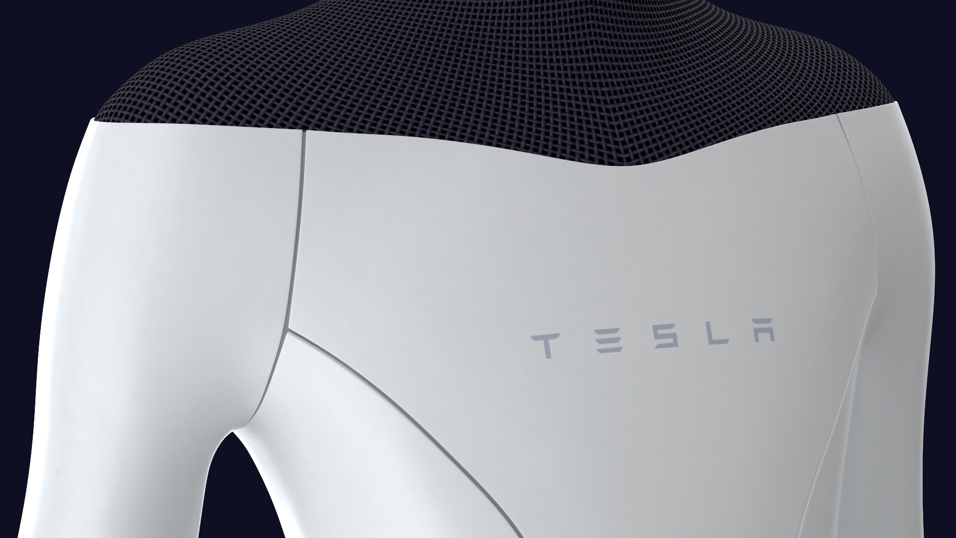 3D Tesla Bot Rigged