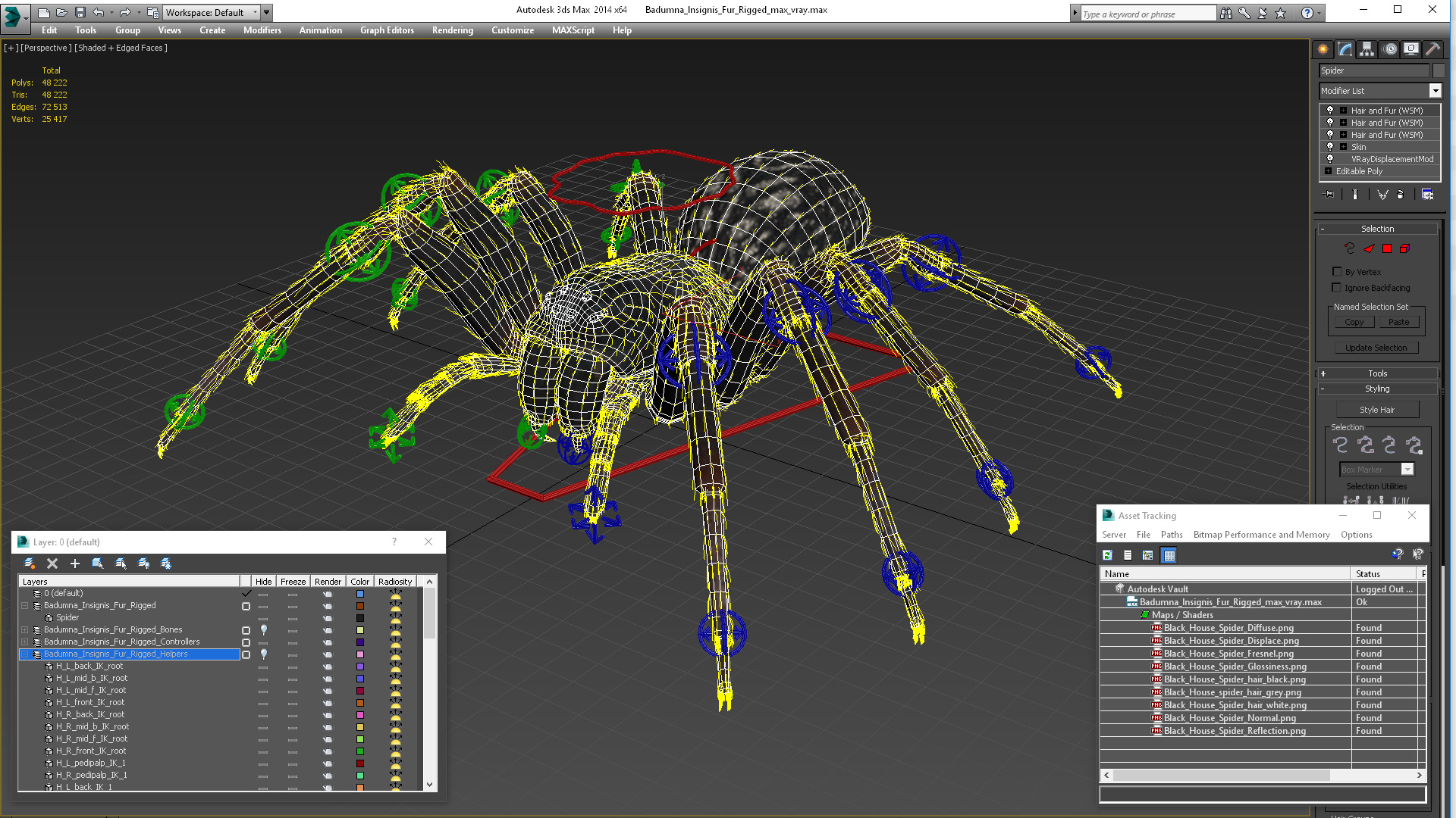 Badumna Insignis Fur Rigged 3D