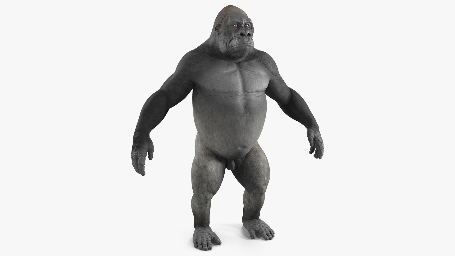 3D Gorilla Animated Rigged model