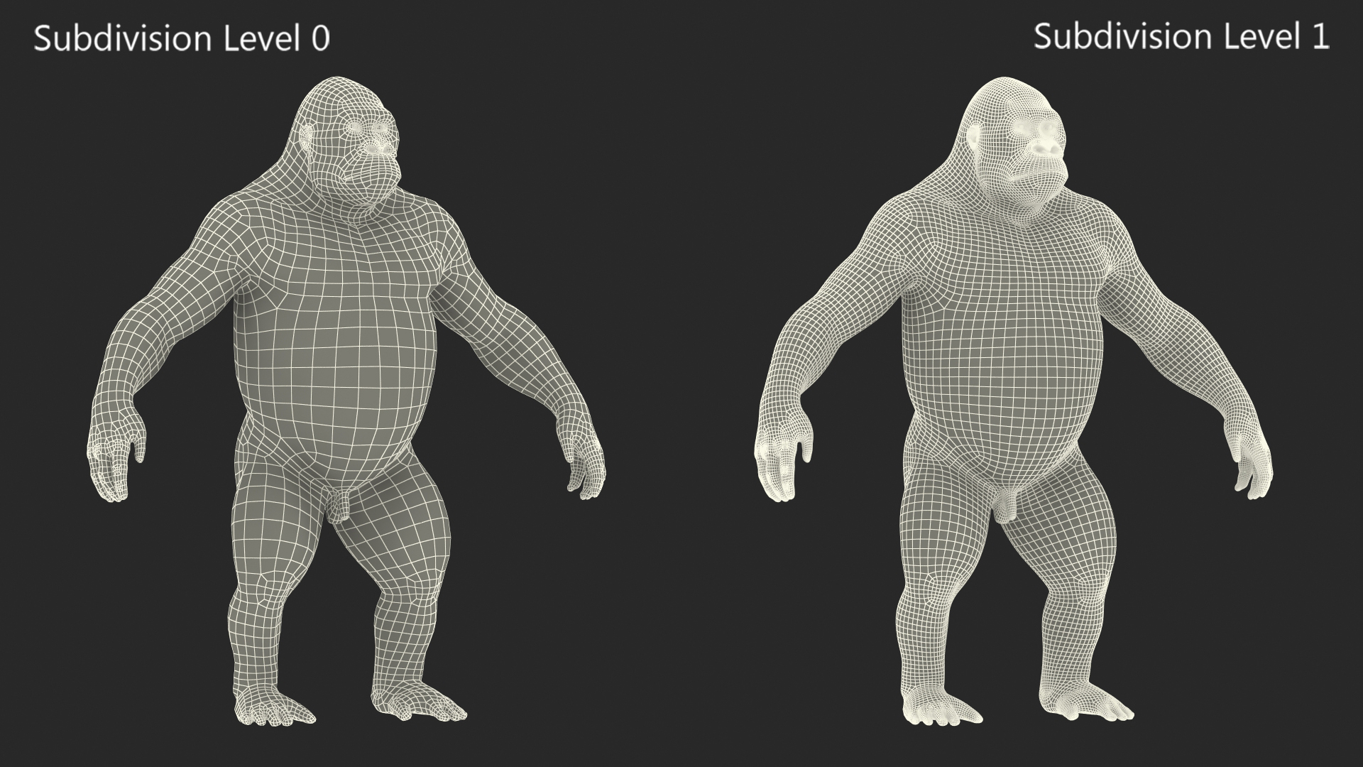 3D Gorilla Animated Rigged model