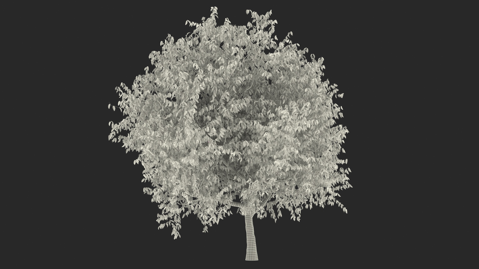 3D model Cherry Tree with Cherries