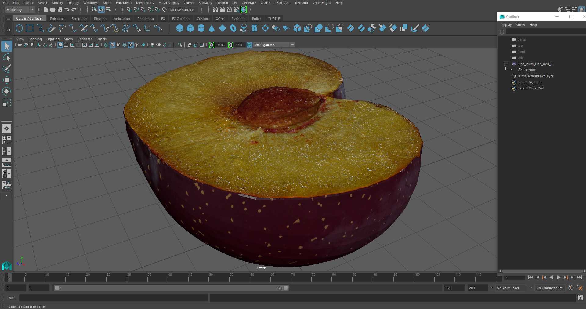 Ripe Plum Half 3D model