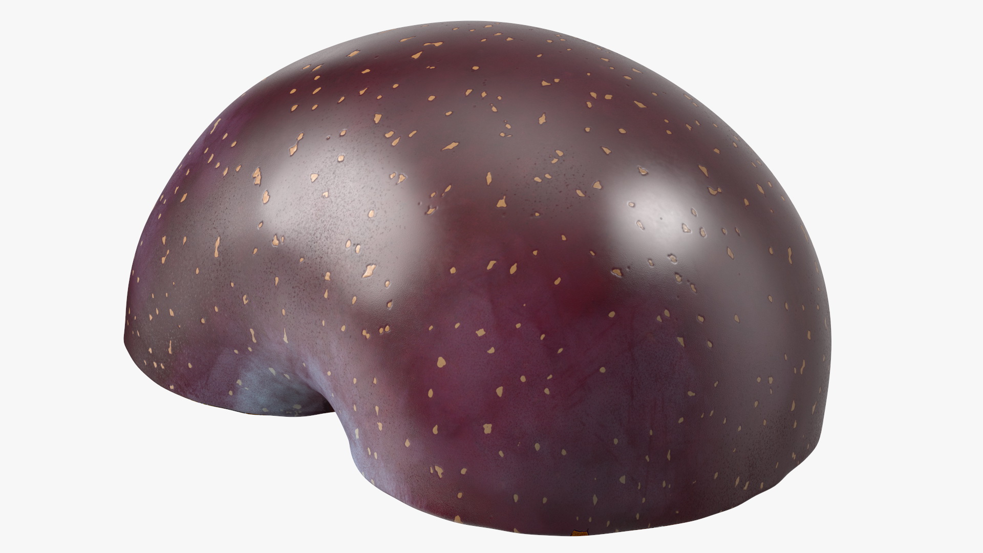 Ripe Plum Half 3D model