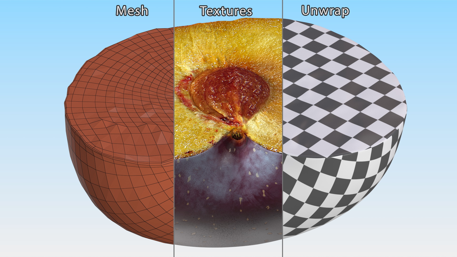 Ripe Plum Half 3D model