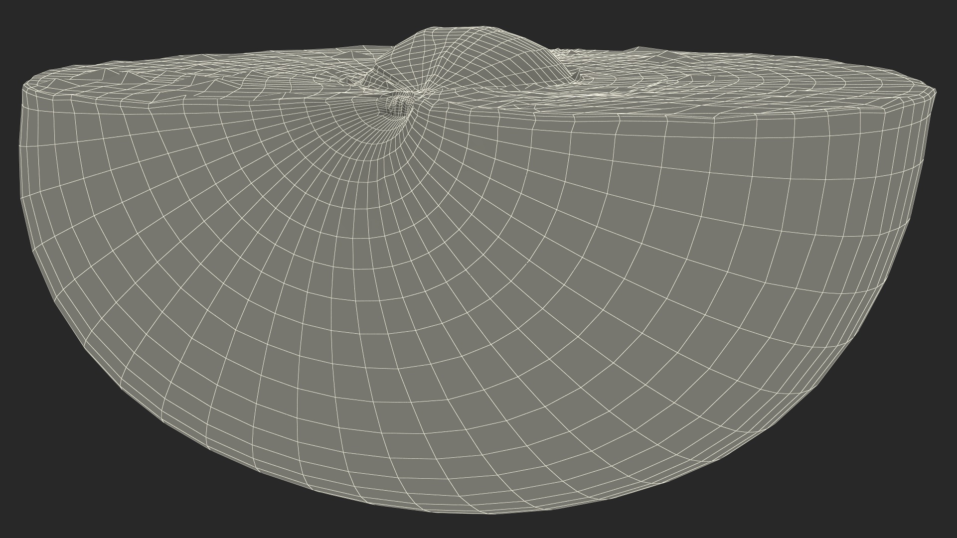 Ripe Plum Half 3D model