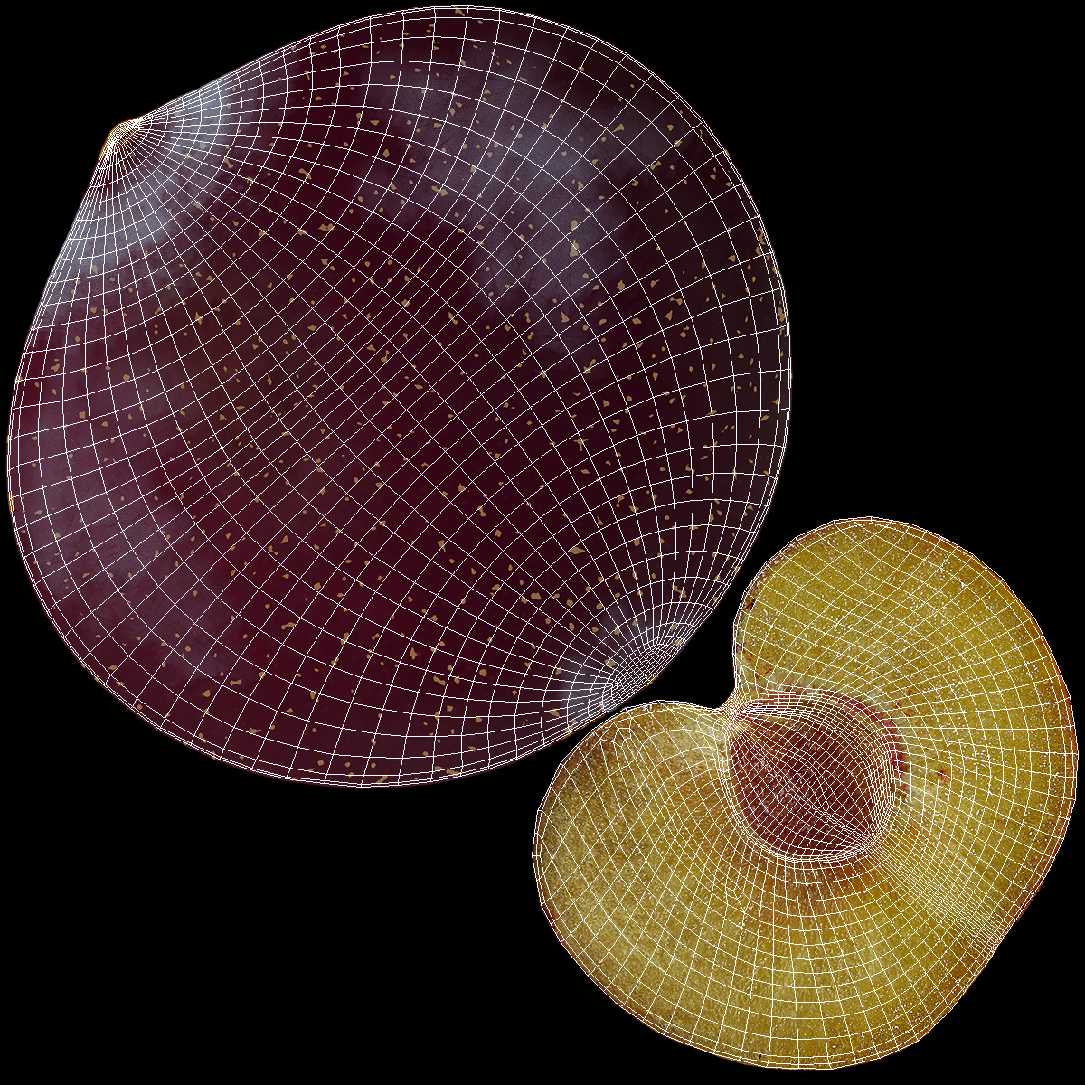 Ripe Plum Half 3D model