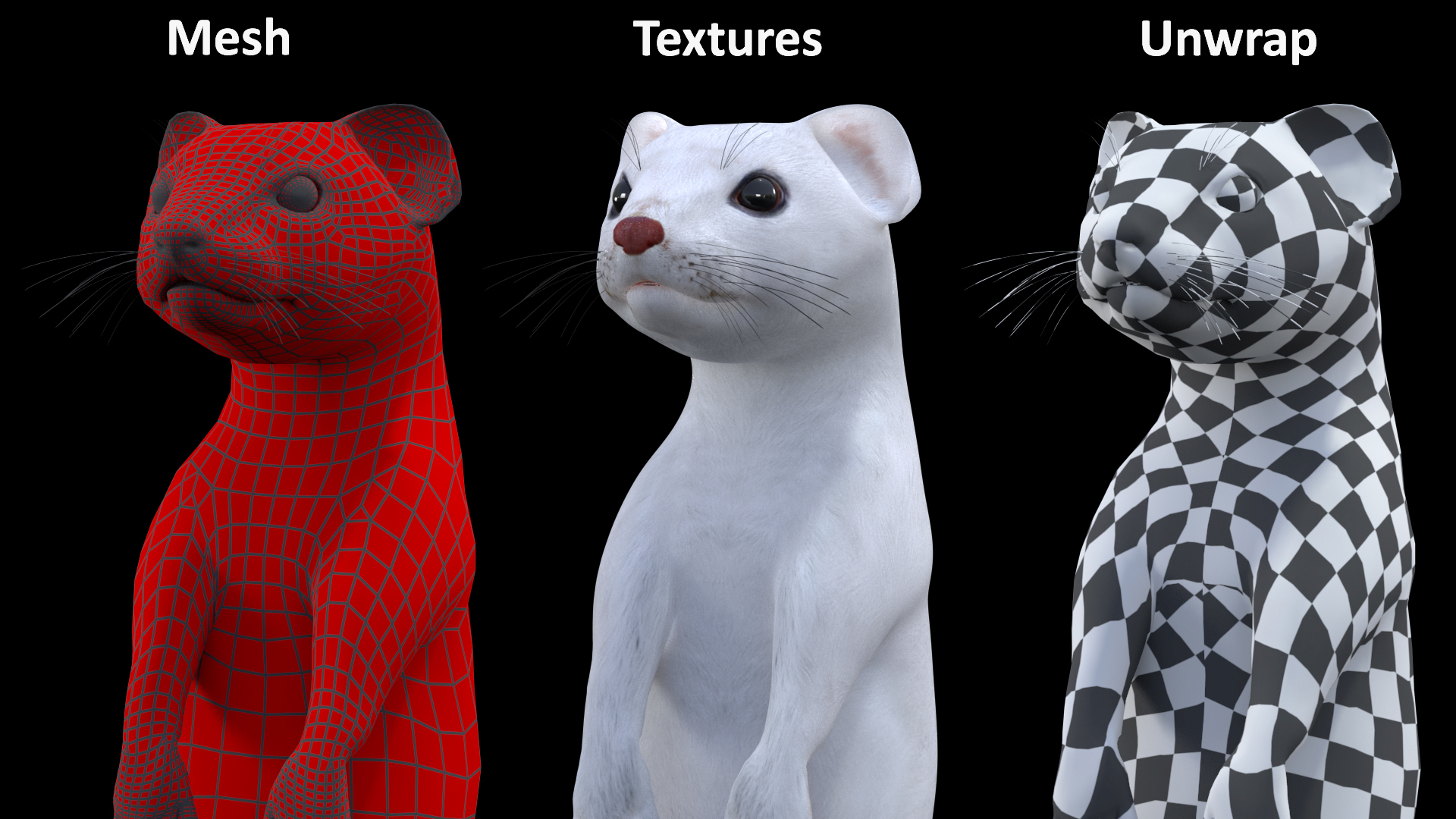 3D Standing White Ermine