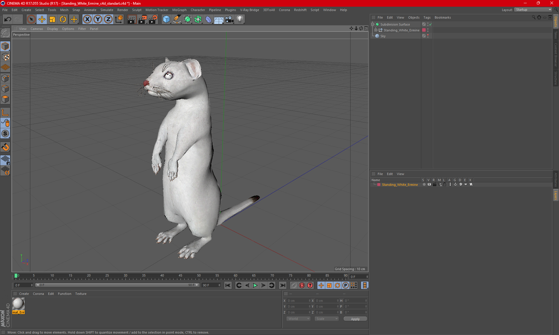 3D Standing White Ermine