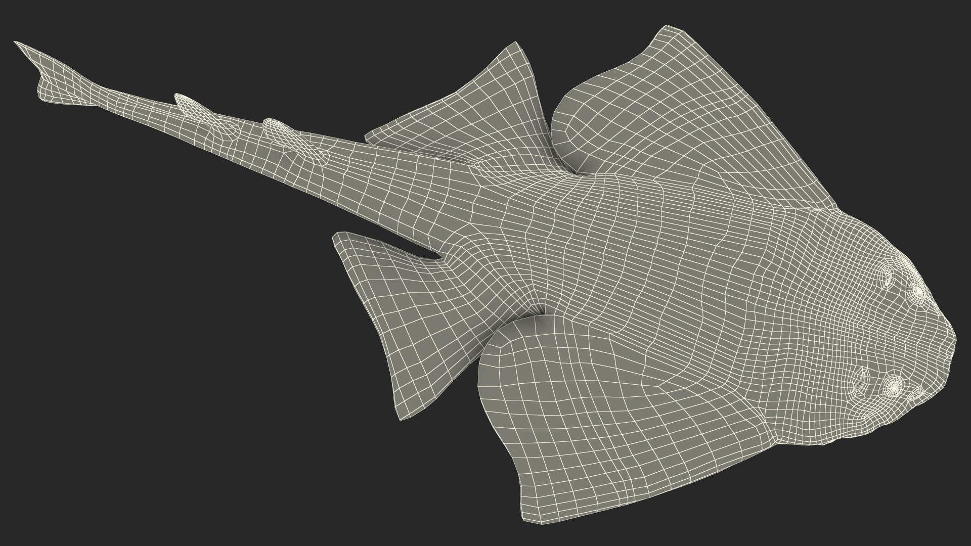 3D Angel Shark Rigged model