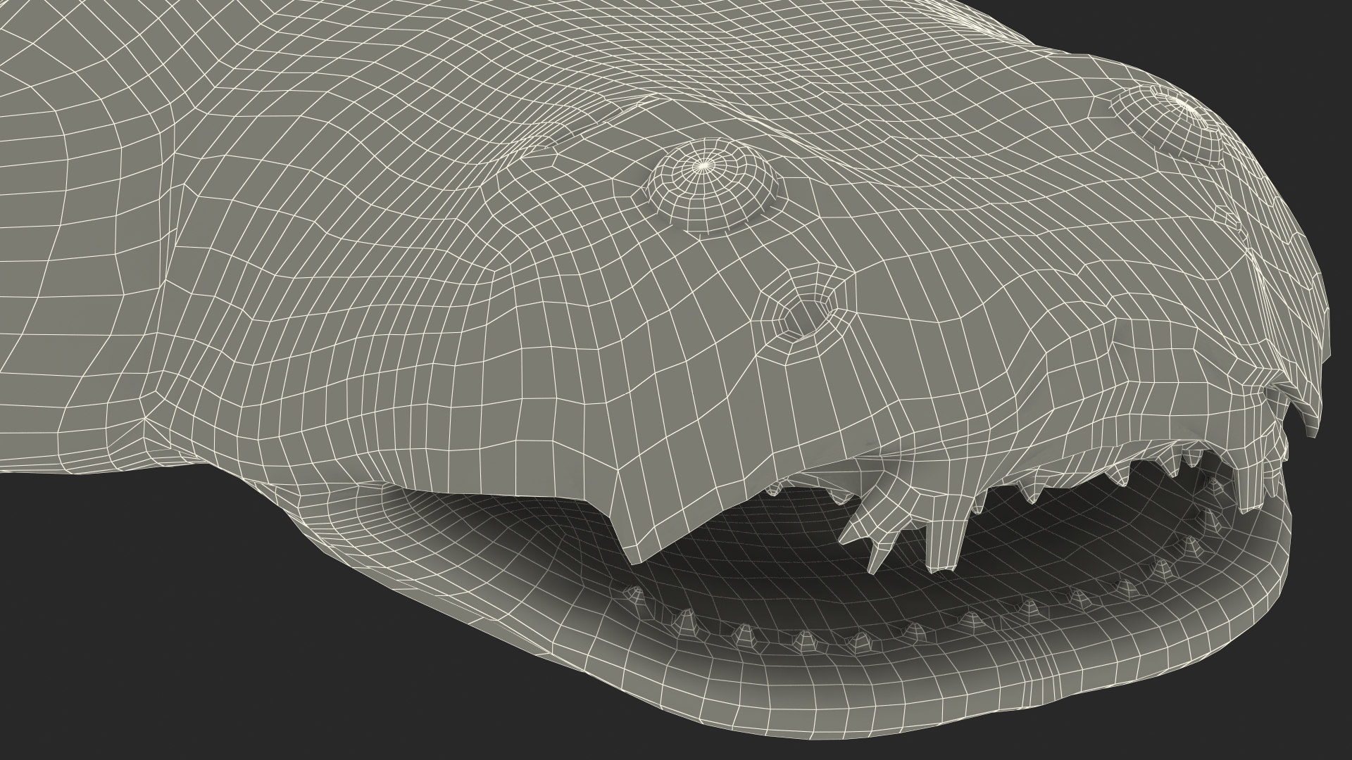 3D Angel Shark Rigged model
