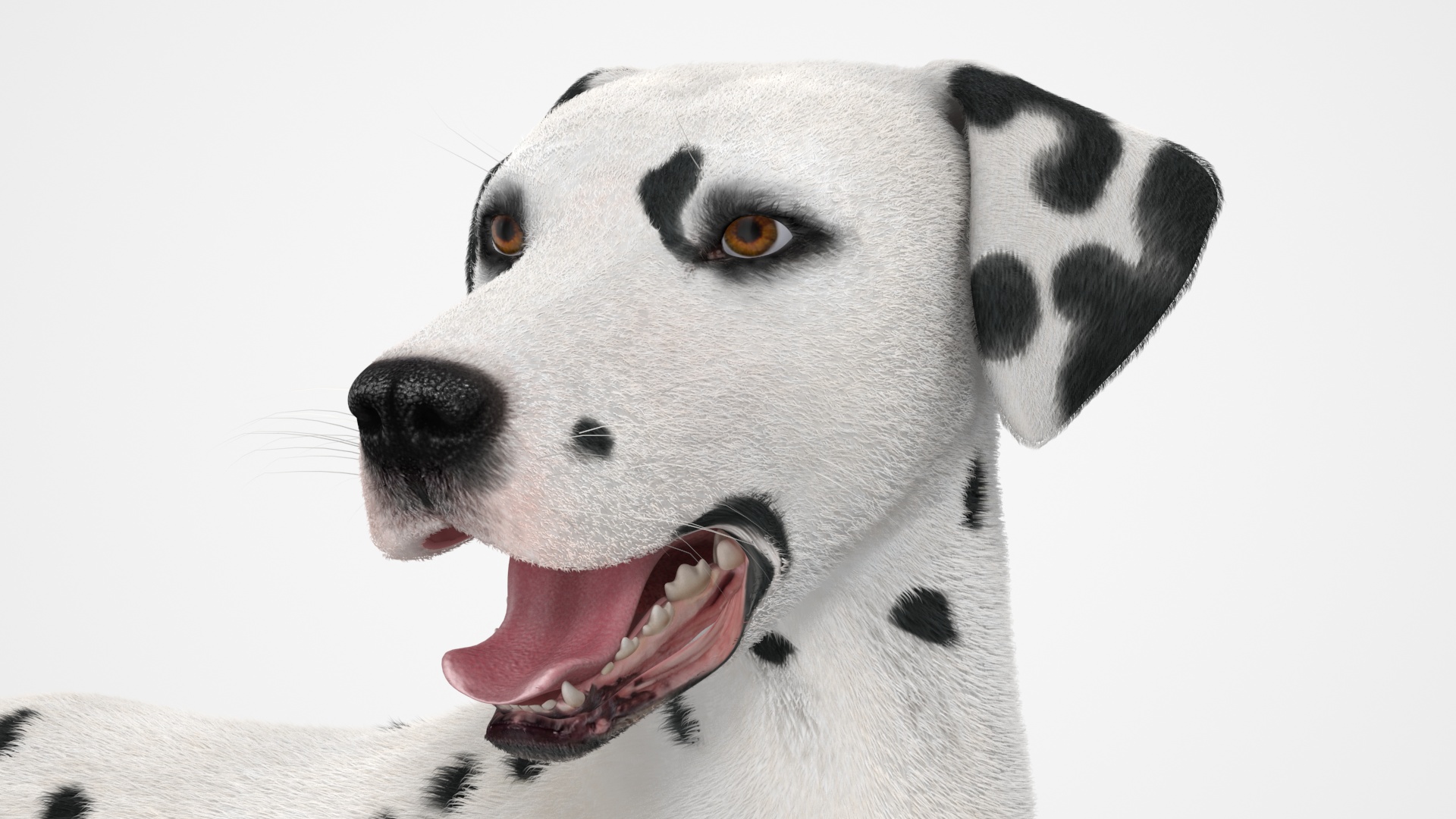 3D Lying Dalmatian Dog Fur model
