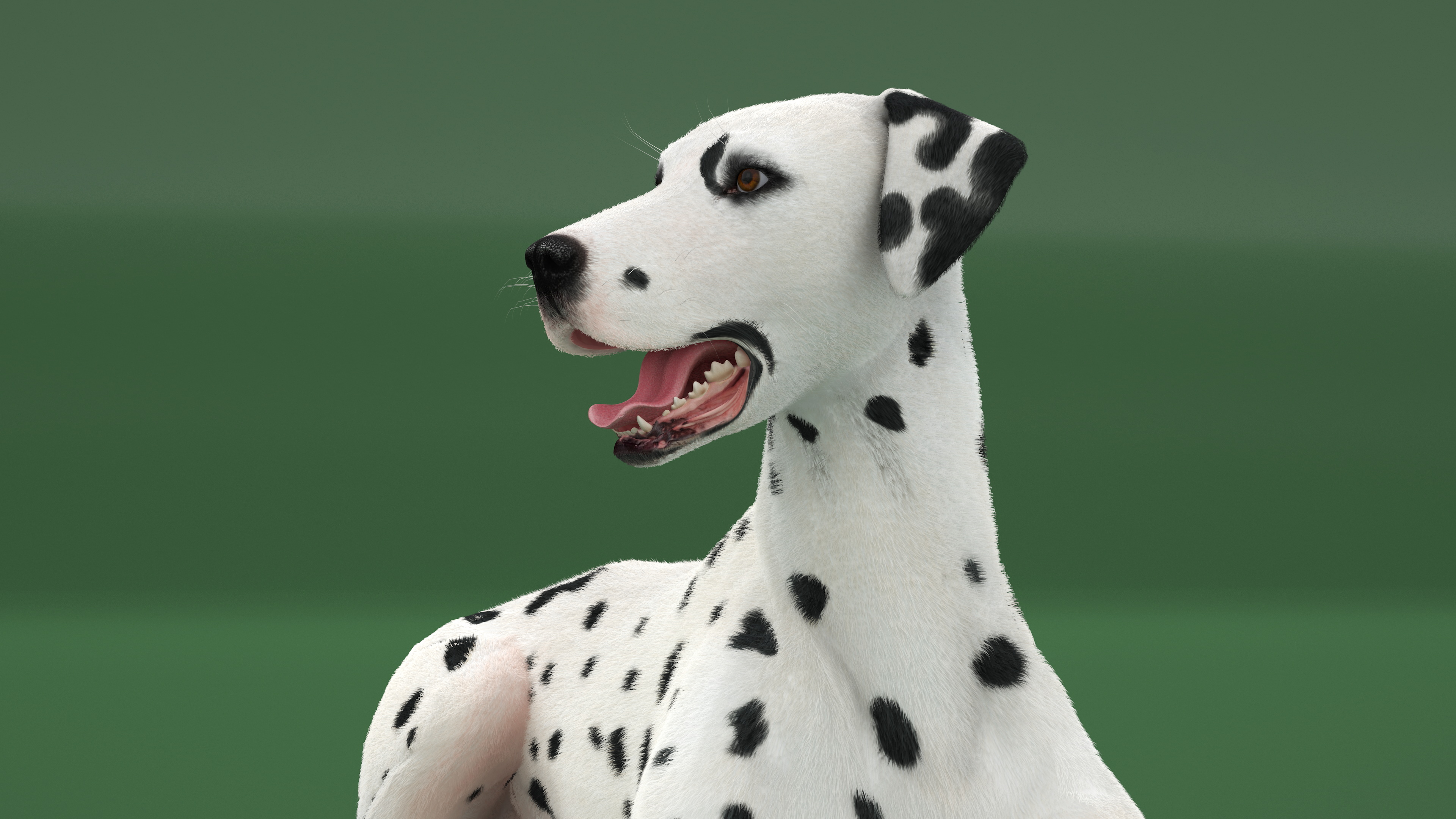3D Lying Dalmatian Dog Fur model