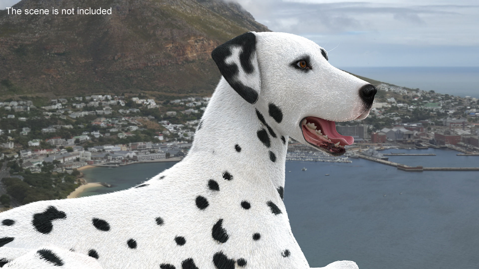 3D Lying Dalmatian Dog Fur model