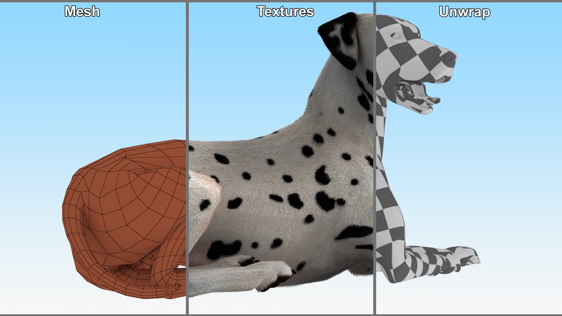 3D Lying Dalmatian Dog Fur model