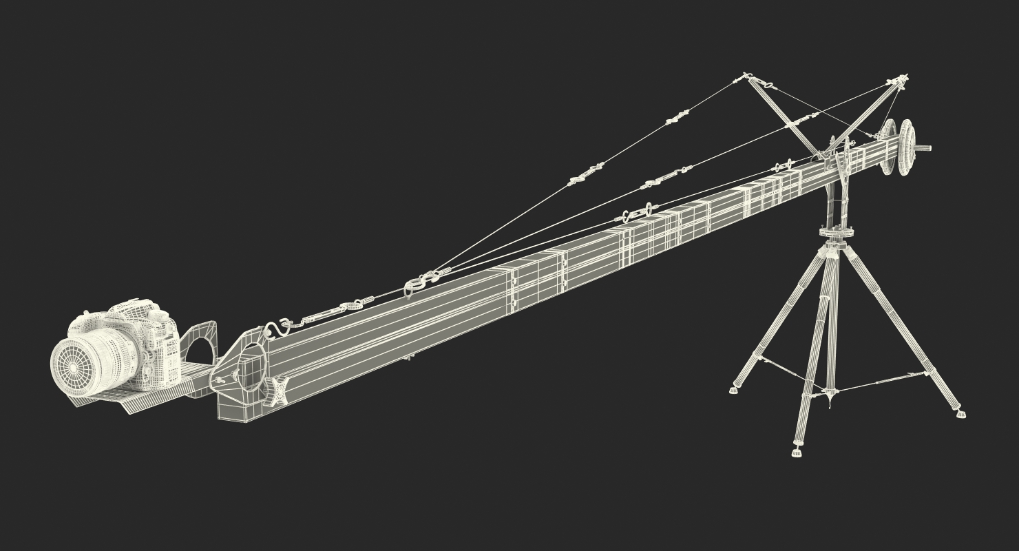 Nikon D500 on Professional Camera Crane 3D model
