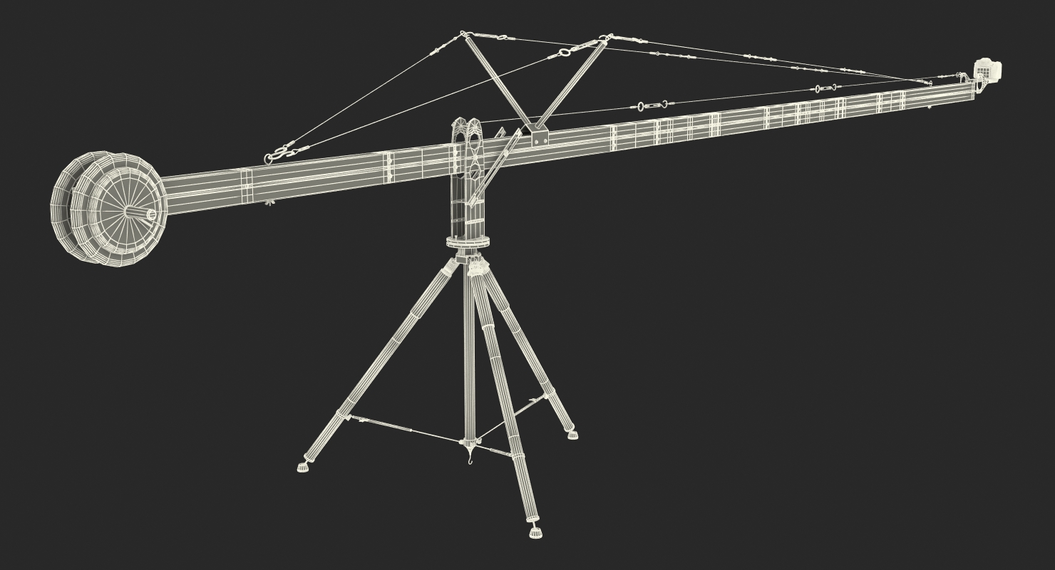 Nikon D500 on Professional Camera Crane 3D model