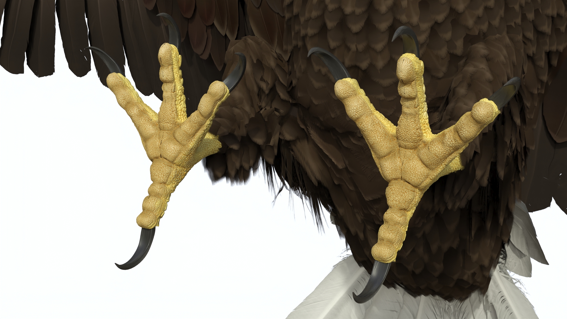 Bald Eagle Attack 3D