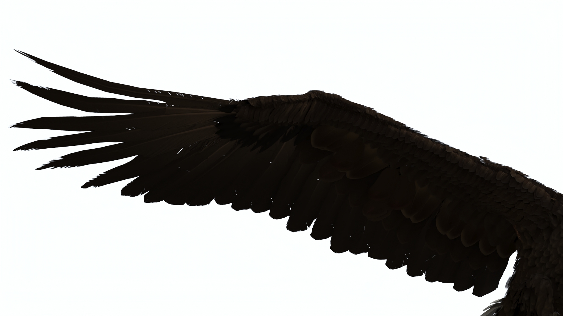 Bald Eagle Attack 3D