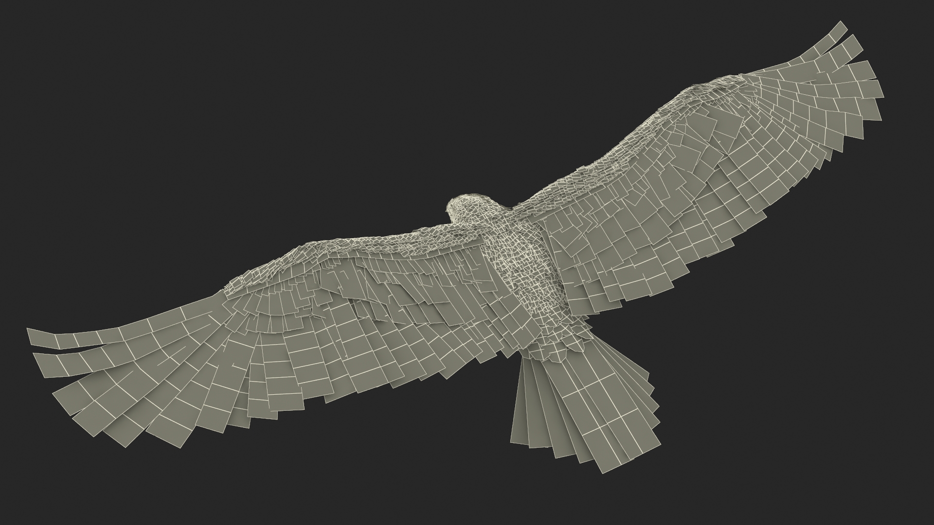 Bald Eagle Attack 3D