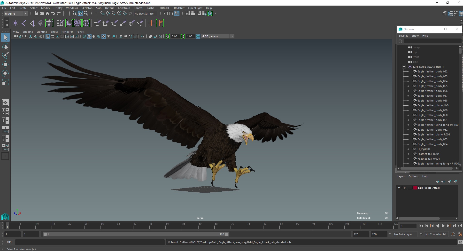 Bald Eagle Attack 3D