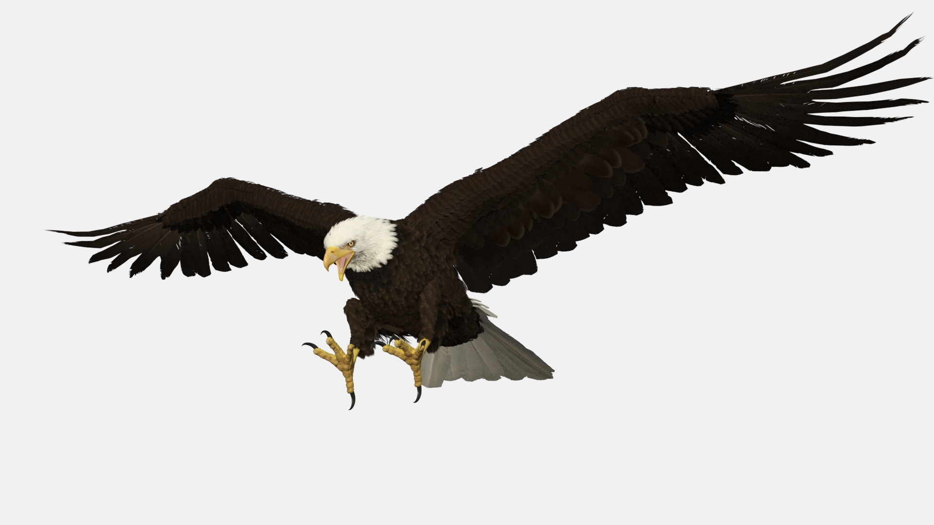 Bald Eagle Attack 3D