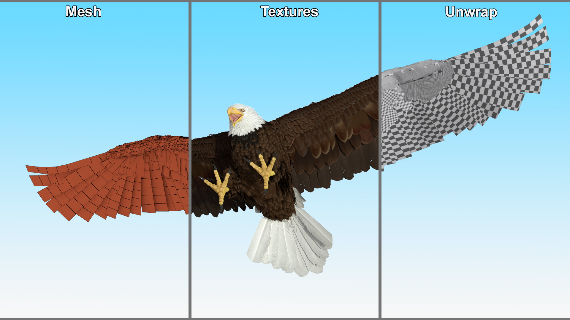 Bald Eagle Attack 3D