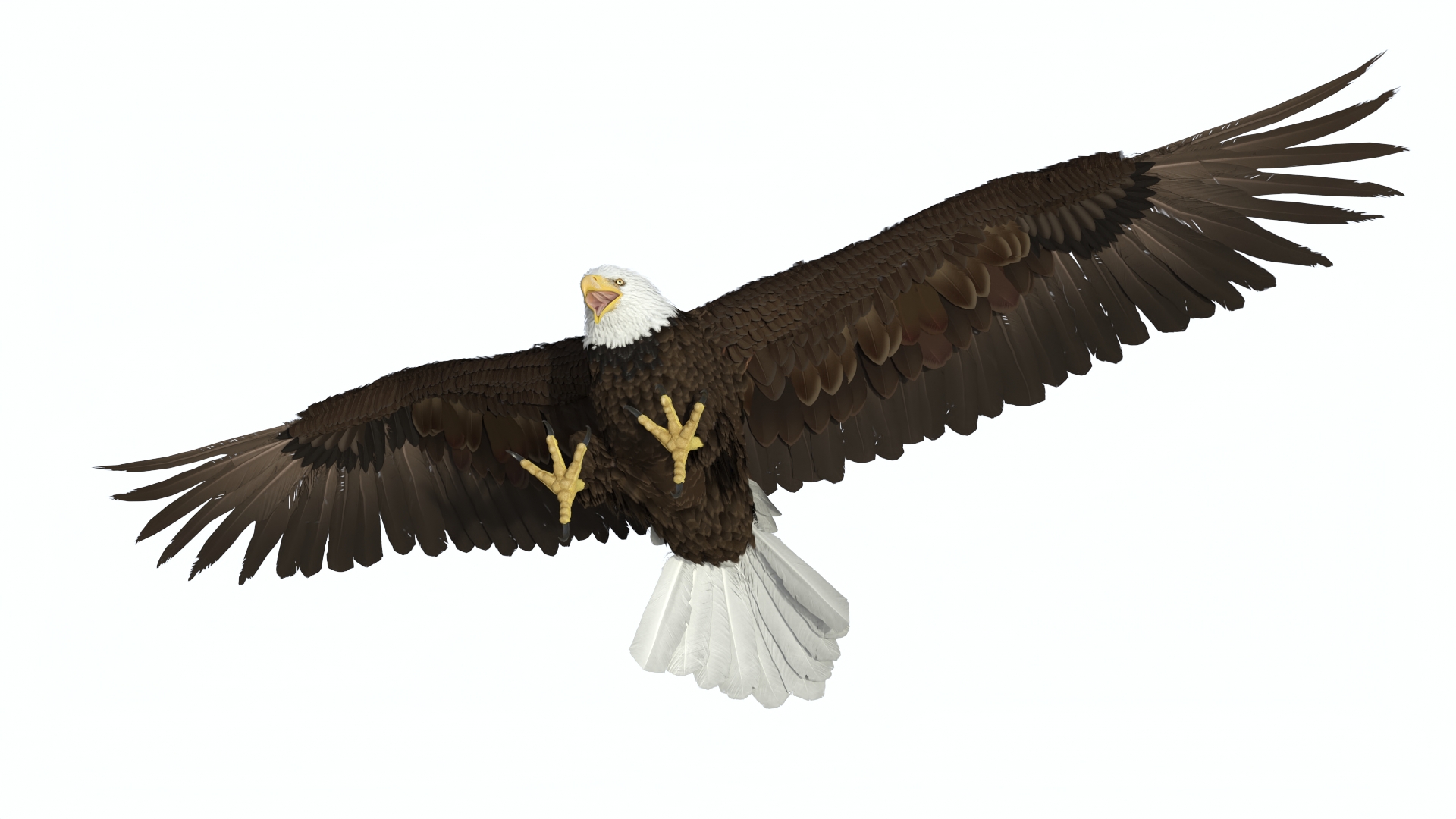 Bald Eagle Attack 3D