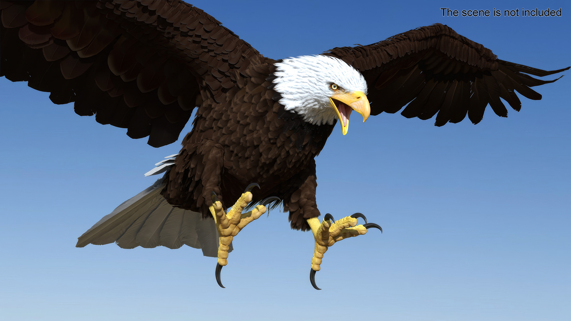 Bald Eagle Attack 3D