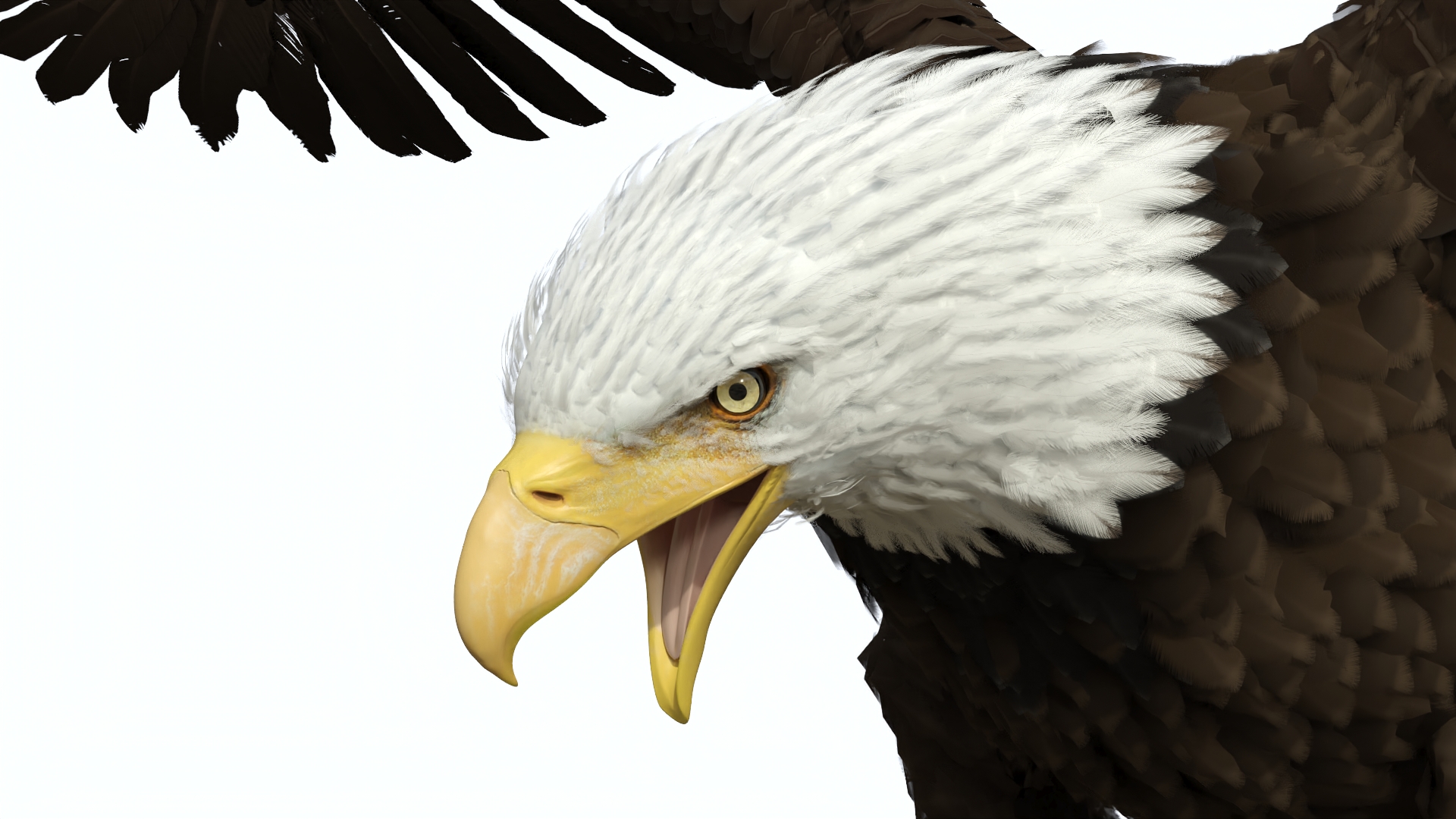 Bald Eagle Attack 3D