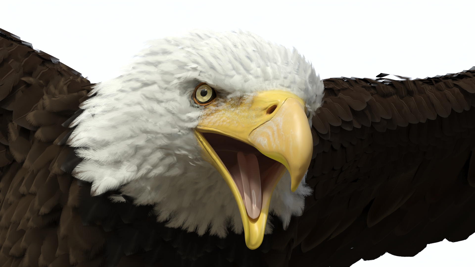 Bald Eagle Attack 3D