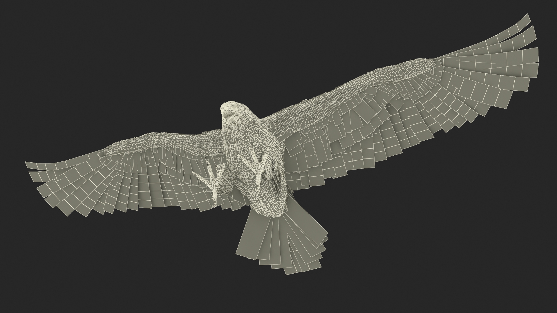 Bald Eagle Attack 3D