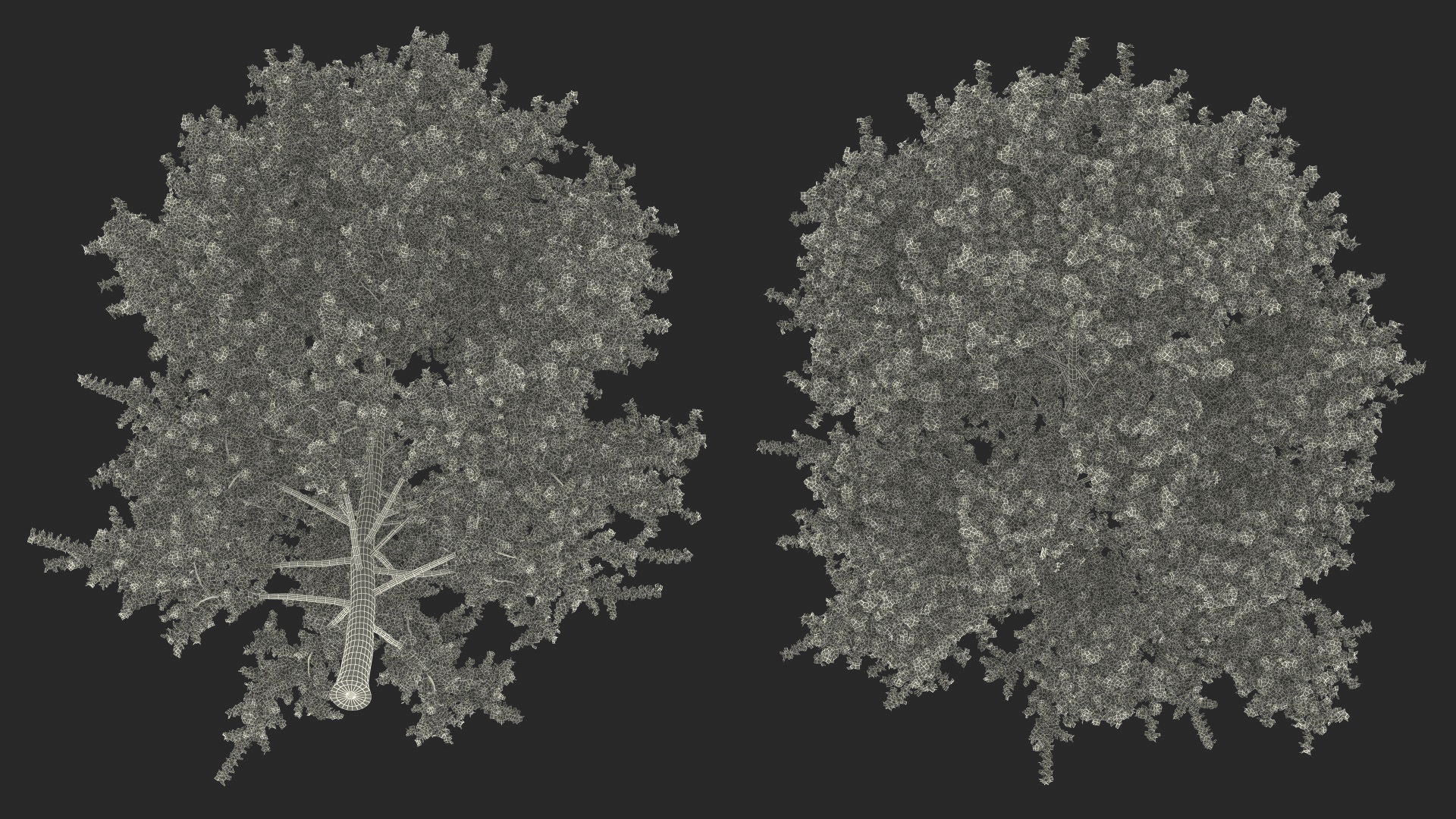 3D model Autumn Yellow Poplar Tree