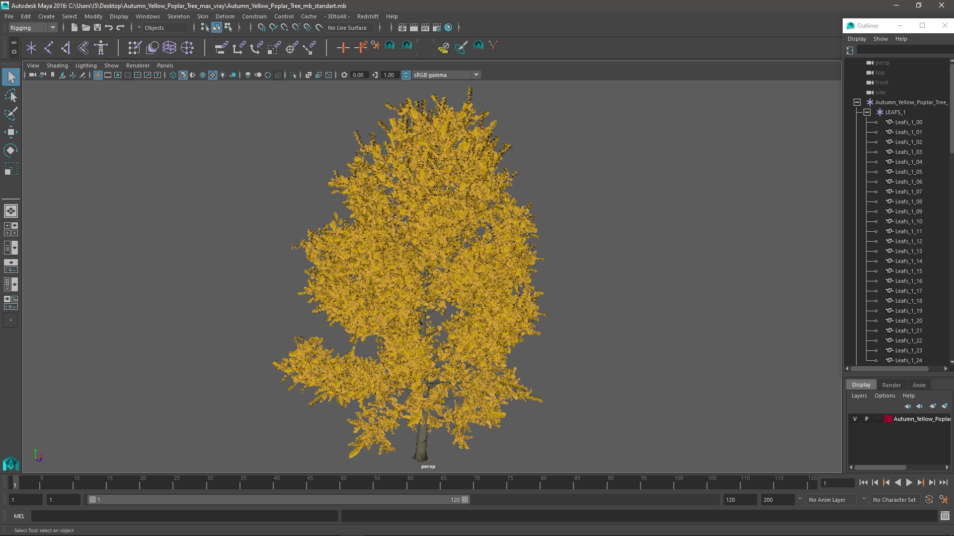 3D model Autumn Yellow Poplar Tree